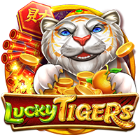 lucky-tigers