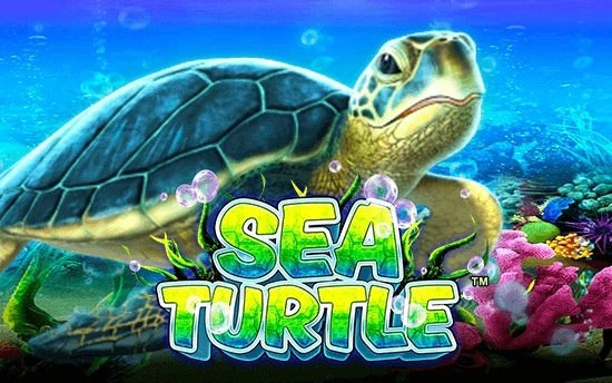 sea-turtle