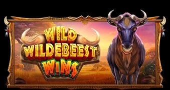 Wild Wildebeest Wins